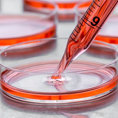cell_culture